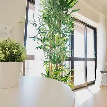 Deluxe Oceanfront - Vue Sur La *